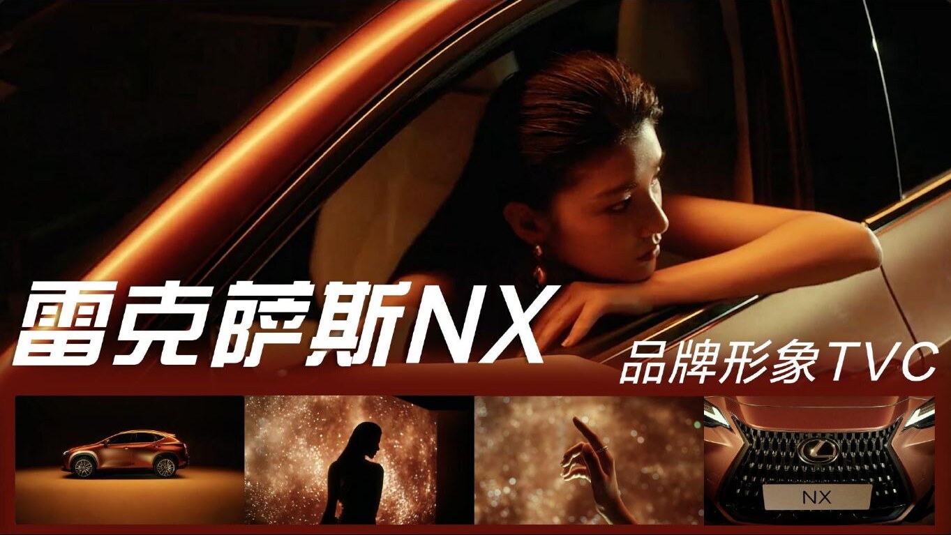 雷克萨斯 NX